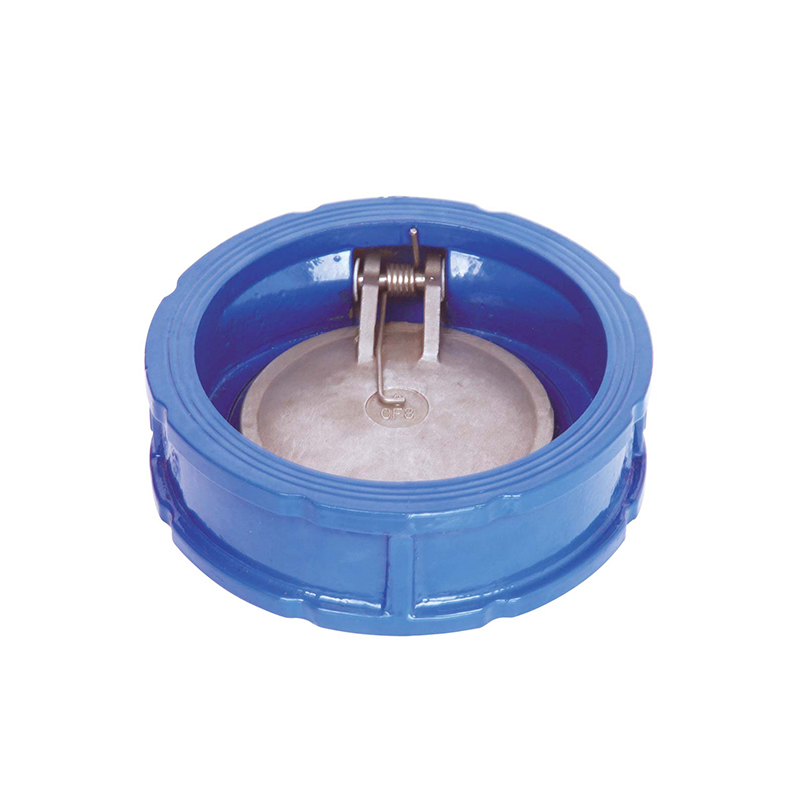 BS STANDARD SINGLE DOOR WAFER CHECK VALVE,FIG#DH74X