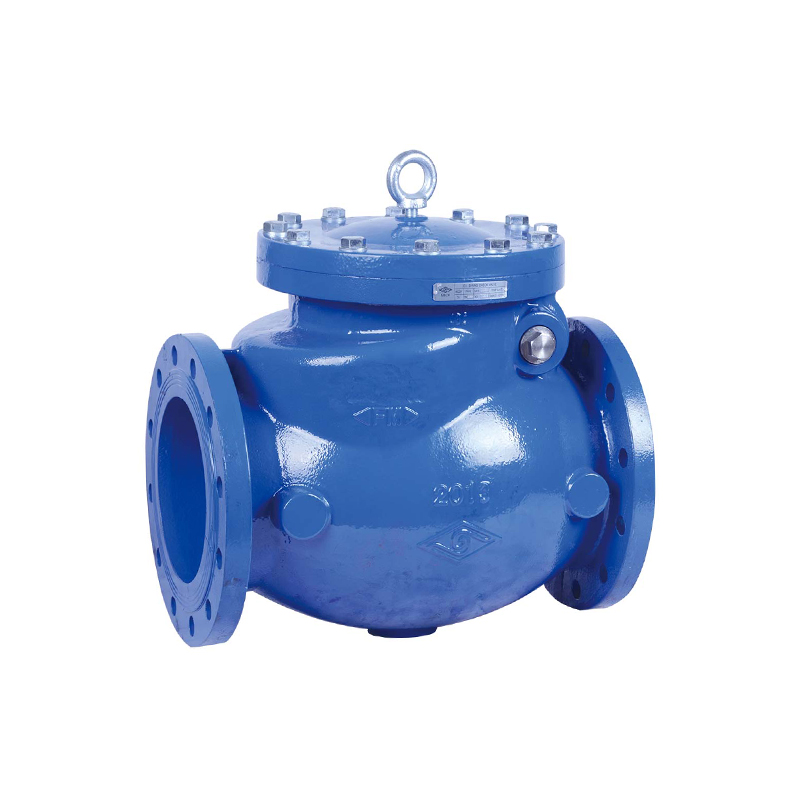 BS FLANGED SWING CHECK VALVE, FIG# H44X2