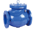 Check Valve