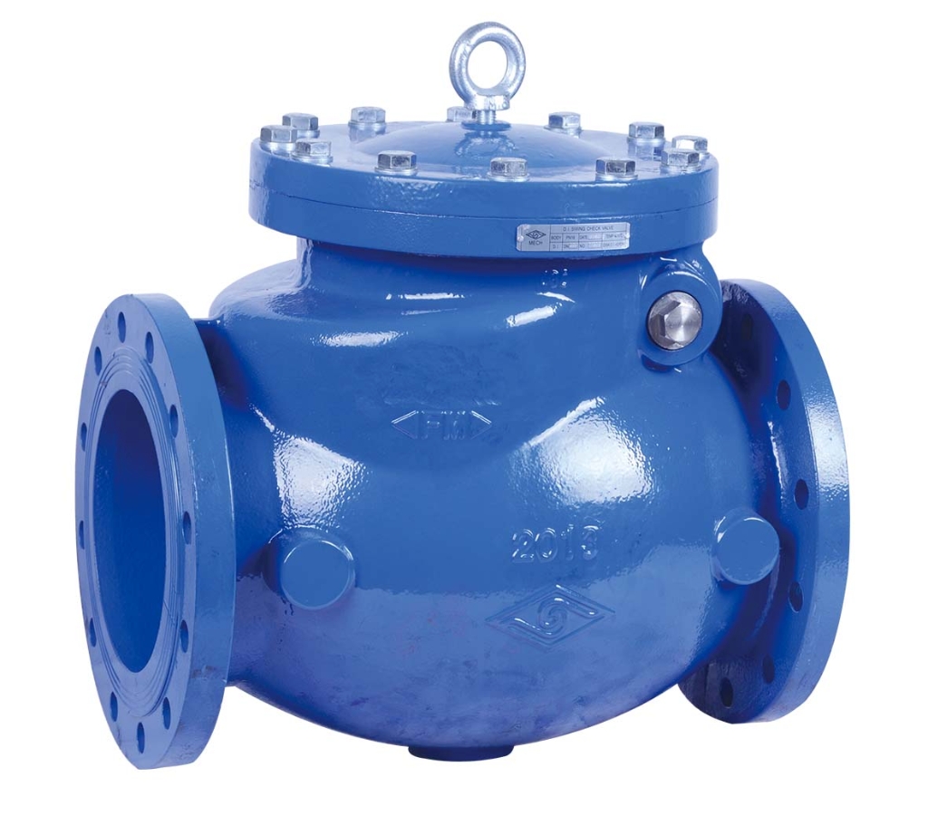 BS SWING CHECK VALVE, H44X2-PN25