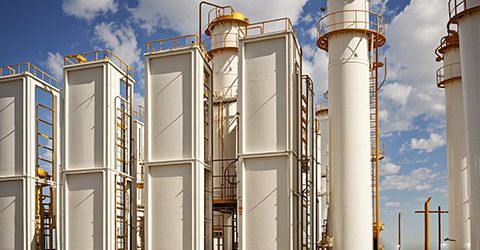 The field of national petroleum and natural gas” 或 “the national oil and gas sector