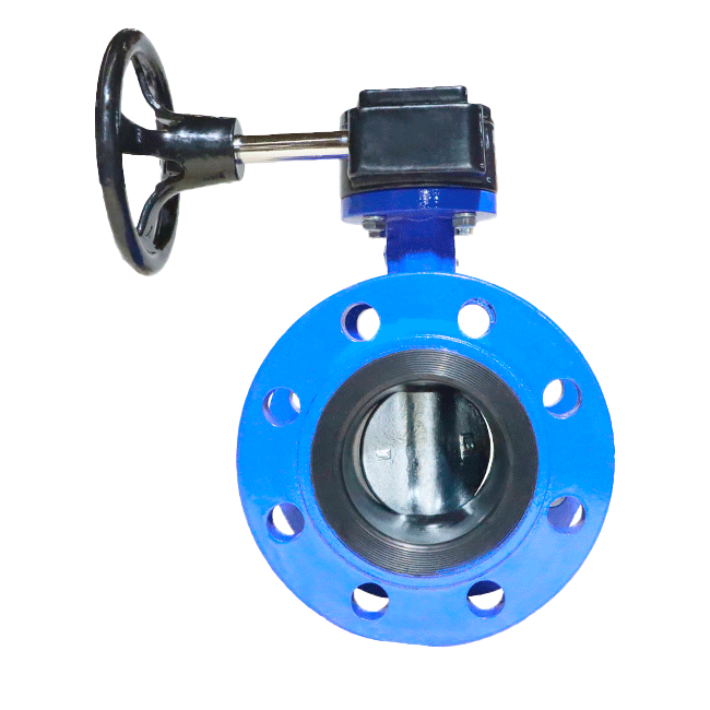 Flange centerline soft seal butterfly valve